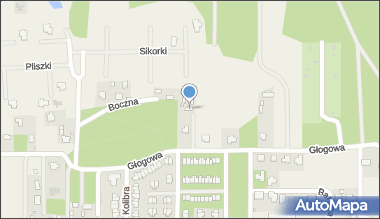 Wojciech Dwórzyński, Głogowa 27, Stara Wieś 05-830 - Przedsiębiorstwo, Firma, NIP: 5341286299