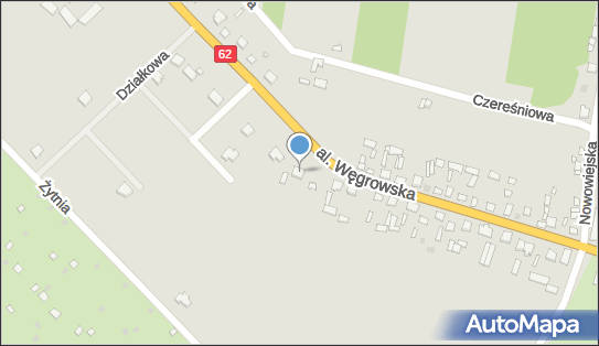 8241005256, Wiśniewski Wojciech Wyrób i Sprzedaż Odzieży Hurt i Detal, Usługi Krawieckie 