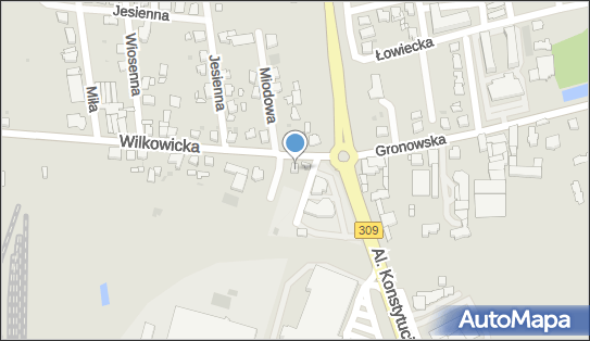 Wojdowski Włodzimierz Handel Okrężny i Centrum Ogrodnicze Flora 64-100 - Przedsiębiorstwo, Firma, NIP: 6971453032