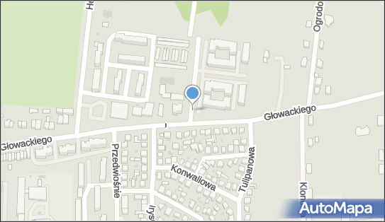 Wolan, ul. Bartosza Głowackiego 47, Brzeziny 95-060 - Przedsiębiorstwo, Firma, NIP: 8331101414