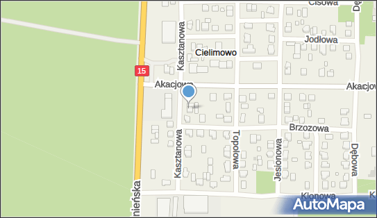 Wolnowski Marek. Brukarstwo, Kasztanowa 11, Cielimowo 62-220 - Przedsiębiorstwo, Firma, numer telefonu