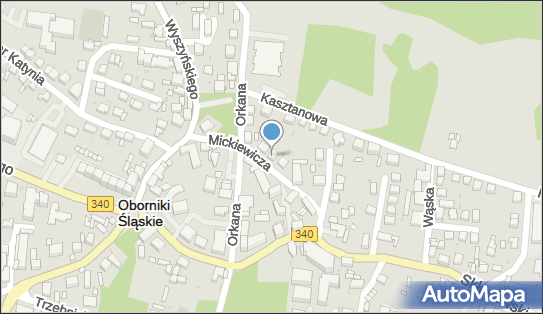 Wołoszański A., Oborniki Śląskie, ul. Adama Mickiewicza 6 55-120 - Przedsiębiorstwo, Firma, NIP: 9151375659