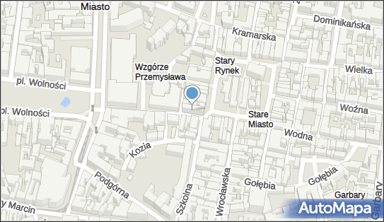 Work Assist, ul. Ignacego Paderewskiego 11, Poznań 61-770 - Przedsiębiorstwo, Firma, numer telefonu, NIP: 7831695362