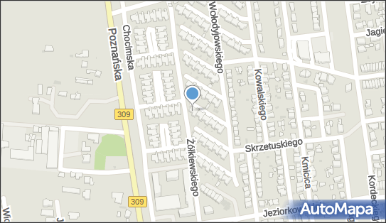 6970004881, Organista Ireneusz World Markisen 
