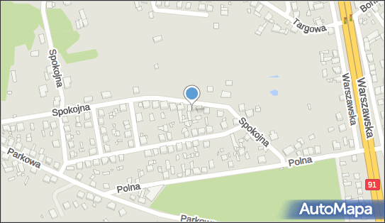 Wróbel Michał Przedsiębiorstwo Usługowo - Handlowe, Spokojna 7 42-470 - Przedsiębiorstwo, Firma, NIP: 6491137437