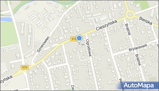 6381470070, Wrona Roman 
