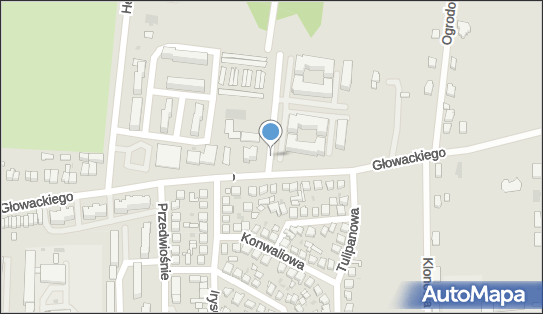 WSPÓLNOTA MIESZKANIOWA OSIEDLE NA WZGÓRZU UL.GŁOWACKIEGO 47,49, 95-060 - Przedsiębiorstwo, Firma, numer telefonu