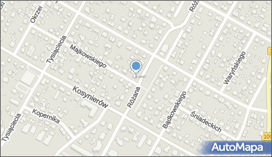 9580139557, Wulkanizacja Grzegorz Lech Gumimski 