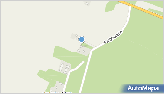 WYLEWKI - JAROSŁAW BAŁA, Partyzantów 1, Nagłowice 28-362 - Przedsiębiorstwo, Firma, numer telefonu