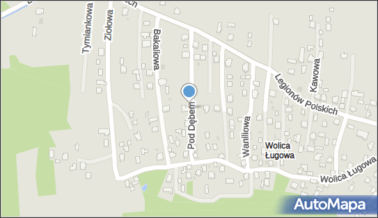 8181182077, Wypożyczalnia Przyczep i Lawet Siapek Tomasz Daniel 