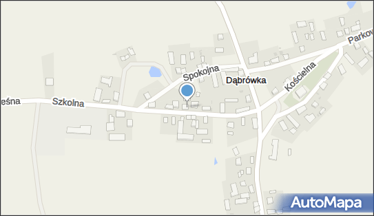 1990075410, Wypożyczalnia Samochodów Andrzej Szwitula 