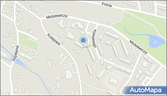 830161835, Wyrób i Sprzedaż Sztucznych Kwiatów Kaptur Danuta 