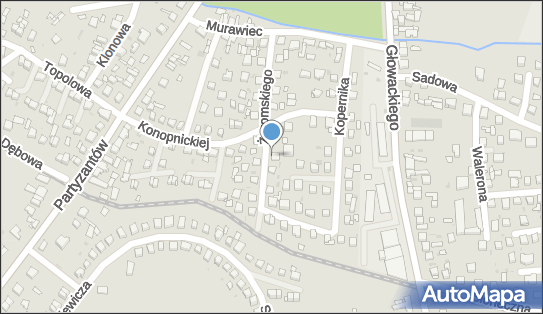 6561013078, Wyrób i Sprzedaż Zniczy Januszewska Aleksandra 