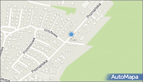 Wyroby z Drewna, Orzechowa 1, Zielona Góra 65-132 - Przedsiębiorstwo, Firma, NIP: 9291324308