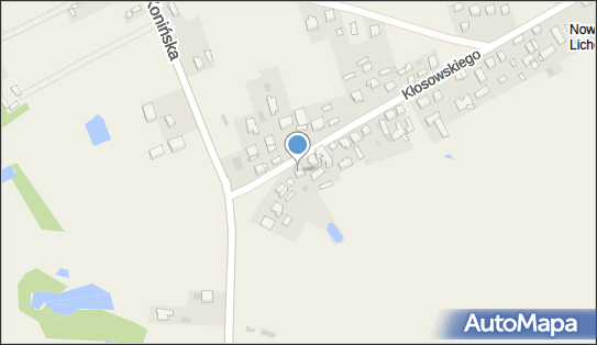 Wytwarzanie Szyldów i Napisów, ul. Tomasza Kłosowskiego 8 A 62-563 - Przedsiębiorstwo, Firma, NIP: 9540023179