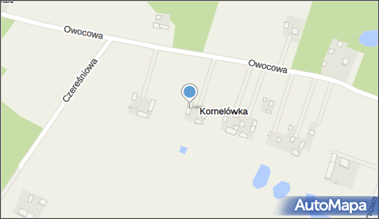 671935219, Usługi Transportowe Marek Głowa 