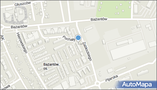 Xymena Peignier Firma Usługowo-Handlowa Alameda, ul. Bażantów 16A 40-750 - Przedsiębiorstwo, Firma, NIP: 6351061094