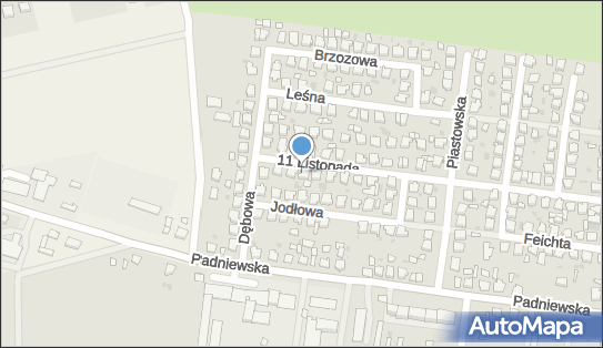 z.P.U.H.L A N G - P O L Zbigniew Lange, ul. 11 Listopada 103 88-300 - Przedsiębiorstwo, Firma, NIP: 5570007154