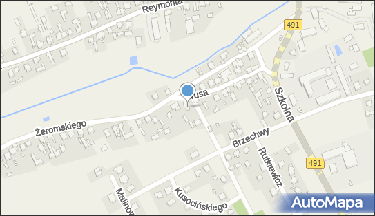 z-U-H Dala Andrzej Osiewacz, Prusa Bolesława 17, Kamyk 42-125 - Przedsiębiorstwo, Firma, NIP: 5741274443