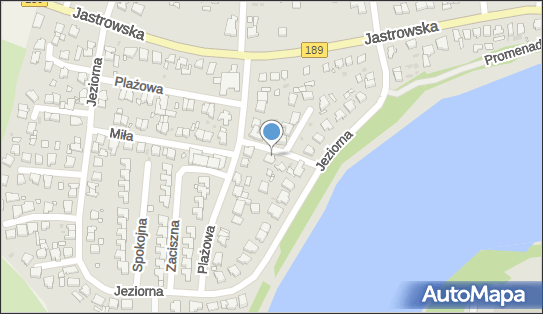 7671012991, LiTRANSPORT Lewandowski Ireneusz 