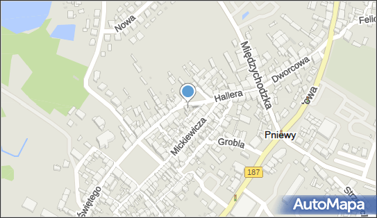 Zakład Fryzjerski, św. Wawrzyńca 27, Pniewy 62-045 - Przedsiębiorstwo, Firma, NIP: 7871167528