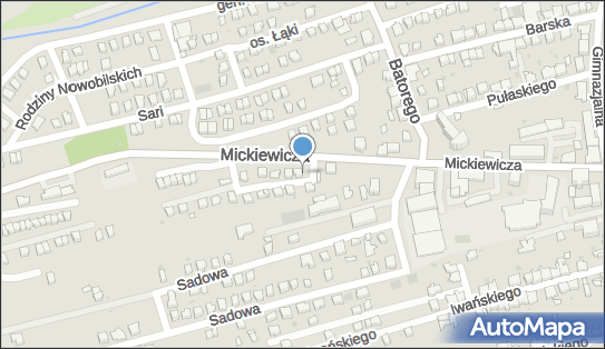Zakład Handlowo Usługowy Adames, ul. Mickiewicza 39A, Wadowice 34-100 - Przedsiębiorstwo, Firma, NIP: 5511155723