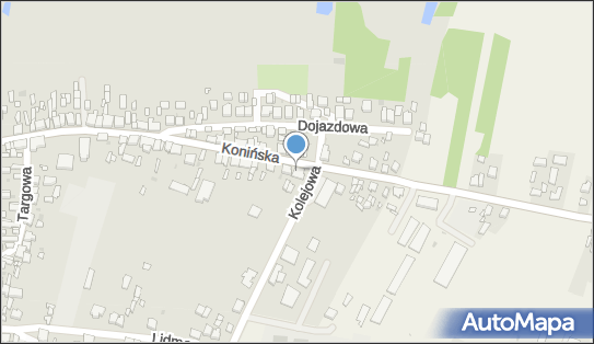 Zakład Handlowo-Usługowy Leon Daniel Nowak, Konińska 54, Zagórów 62-410 - Przedsiębiorstwo, Firma, NIP: 6671672190