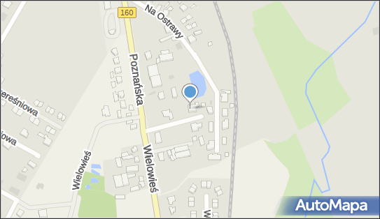 Zakład Handlowo-Usługowy Lidmerc II Dawid Kramer, Poznańska 4e 64-400 - Przedsiębiorstwo, Firma, NIP: 5951455323