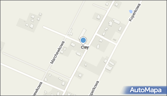 Zakład Handlowo-Usługowy Skibicki Zdzisław, Cisy 12A, Cisy 82-200 - Przedsiębiorstwo, Firma, NIP: 5791000021