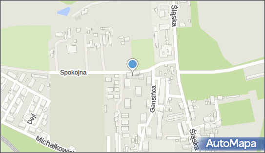 Zakład Instalacyjno Budowlany Wod Kan Co Gaz, ul. Spokojna 3 A 41-100 - Przedsiębiorstwo, Firma, NIP: 6431109578
