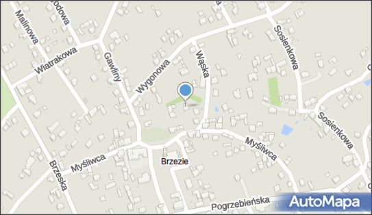 Zakład Instalacyjny C O i Wod Kan S CH Tomala J Moskwa, Wąska 3 47-400 - Przedsiębiorstwo, Firma, numer telefonu, NIP: 6391616902
