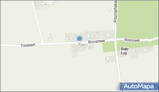 Zakład Kominiarski, Brzozowa 7, Opatów 63-645 - Przedsiębiorstwo, Firma, NIP: 6191541714