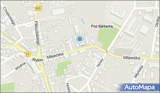 Zakład Kosmetyczny, Mławska 17, Rypin 87-500 - Przedsiębiorstwo, Firma, NIP: 8921000275