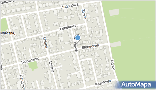 8790089061, Zakład Krawiectwa Lekkiego Wojtczak Jadwiga 