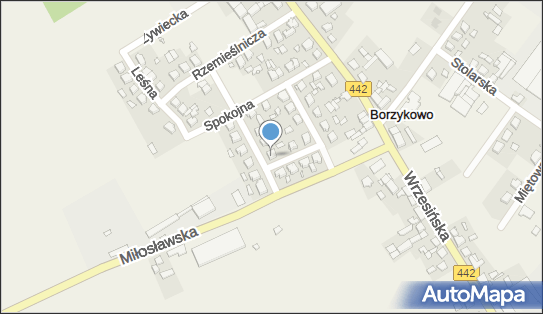Zakład Malarsko Tapeciarski, ul. Szkolna 9, Borzykowo 62-306 - Przedsiębiorstwo, Firma, NIP: 7891116497