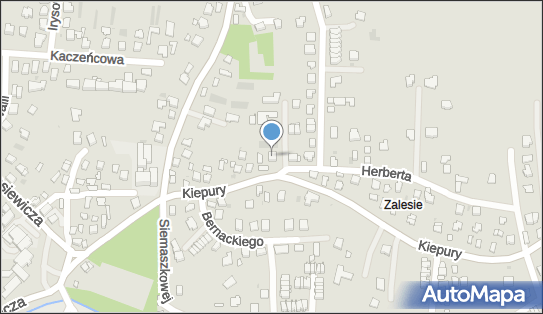 Zakład Mechaniki Samochodowej, ul. Jana Kiepury 17, Rzeszów 35-602 - Przedsiębiorstwo, Firma, NIP: 8132742688
