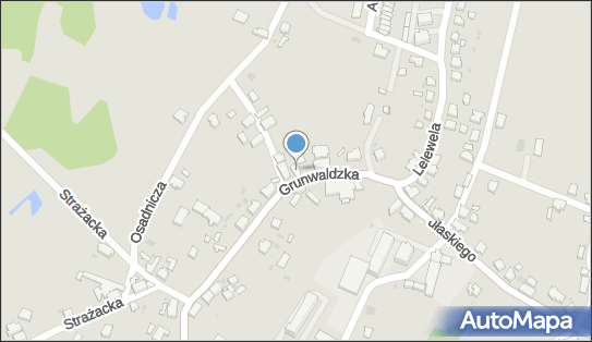 970275958, Zakład Naprawy Pojazdów Samochodowych Teresa Szczepańska 