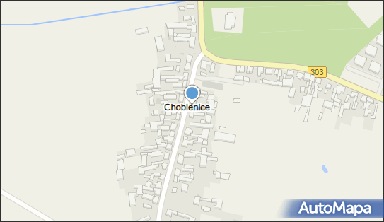 Zakład Ogólnobudowlany Chobienice, Chobienice 32, Chobienice 64-212 - Przedsiębiorstwo, Firma, NIP: 9231017695