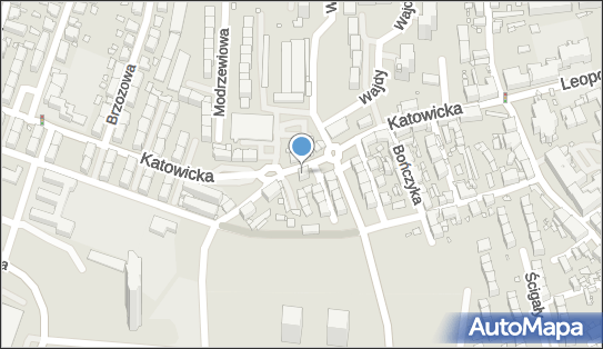 Zakład Optyczny Jerzy Poloczek, ul. Katowicka 17, Katowice 40-173 - Przedsiębiorstwo, Firma, NIP: 9541018418