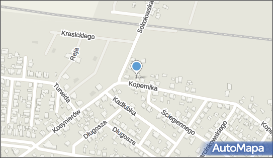 Zakład Poligraficzny Kaligrafik, ul. Kopernika 1, Września 62-300 - Przedsiębiorstwo, Firma, NIP: 7891070163