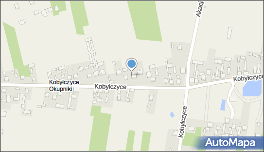 Zakład Produkcji Obuwia Miko Krzysztof Michalczyk, Kobyłczyce 110 42-244 - Przedsiębiorstwo, Firma, NIP: 5731012026