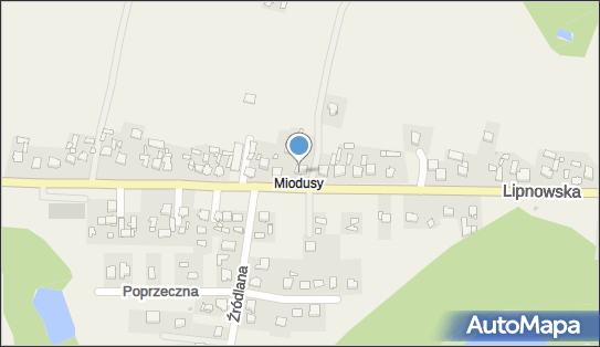 Zakład Produkcyjno Handlowo Usługowy, Lipnowska 40, Wielgie 87-603 - Przedsiębiorstwo, Firma, NIP: 8931139566