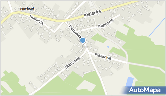 6581656247, Zakład Produkcyjno-Usługowo-Handlowy 