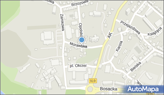 6391129533, Zakład Produkcyjno-Usługowo-Handlowy 