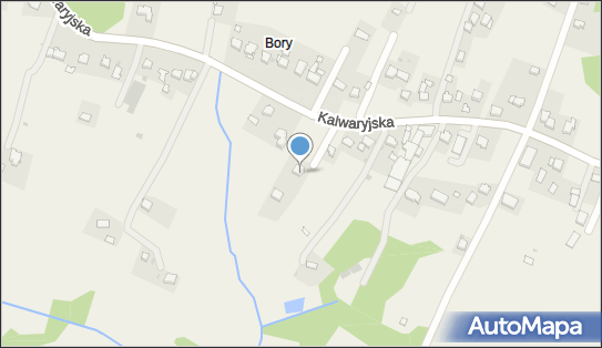 Zakład Szewski, Stanisław Górny 31A, Stanisław Górny 34-100 - Przedsiębiorstwo, Firma, NIP: 5510017427