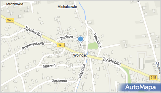 5530017672, Zakład Transportowo-Handlowy Kazimierz Waligóra 