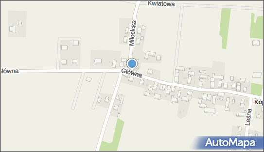 Zakład Usług Kominiarskich Tomasz Gala, Główna 8, Kopalina 55-220 - Przedsiębiorstwo, Firma, NIP: 9111740644