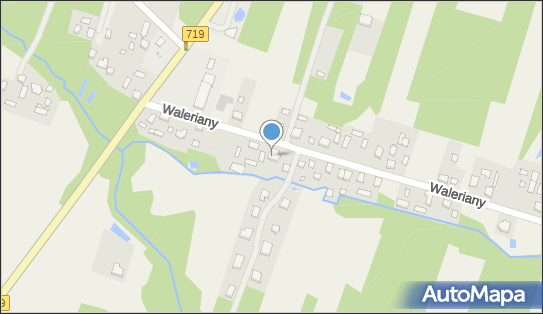 Zakład Usług Leśnych Adam Rutkowski, Waleriany 19A, Waleriany 96-330 - Przedsiębiorstwo, Firma, NIP: 8361563496