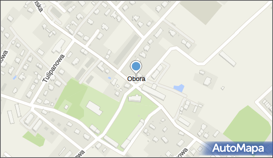 Zakład Usług Leśnych Jankowski Józef, Obora 79 A, Obora 59-314 - Przedsiębiorstwo, Firma, NIP: 6921279862