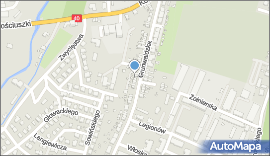 Zakład Usług Leśnych Klon Jerzy Paciorek, Grunwaldzka 44 48-200 - Przedsiębiorstwo, Firma, NIP: 7551156948